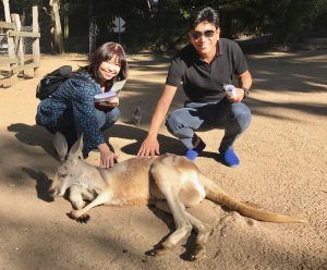 Activity - Currumbin Wildlife Sanctuary - The Language Academy