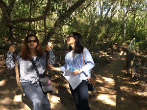 Activity - Burleigh Hill - The Language Academy (2)
